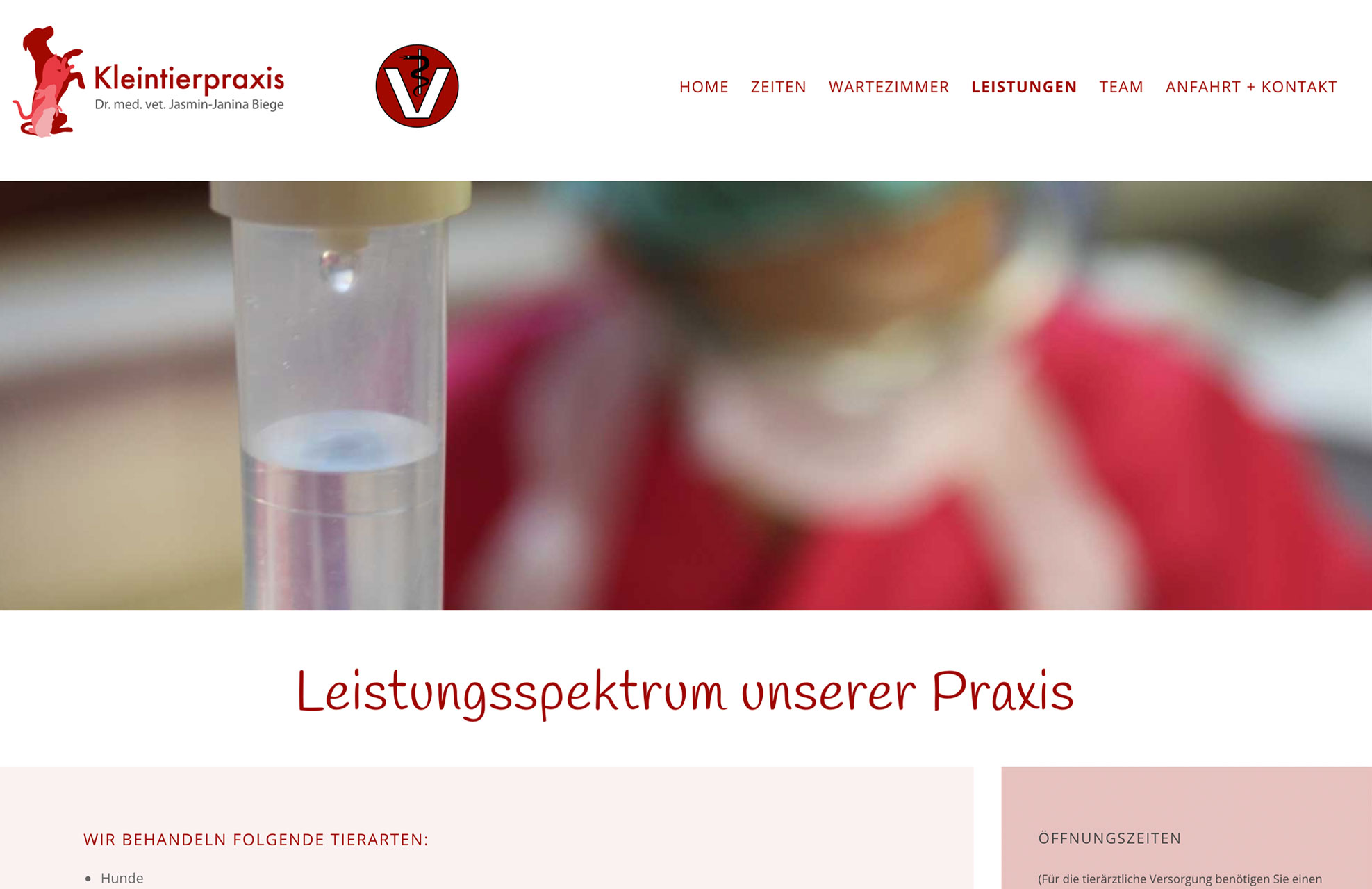 Tierarzt Bremen - Webdesign